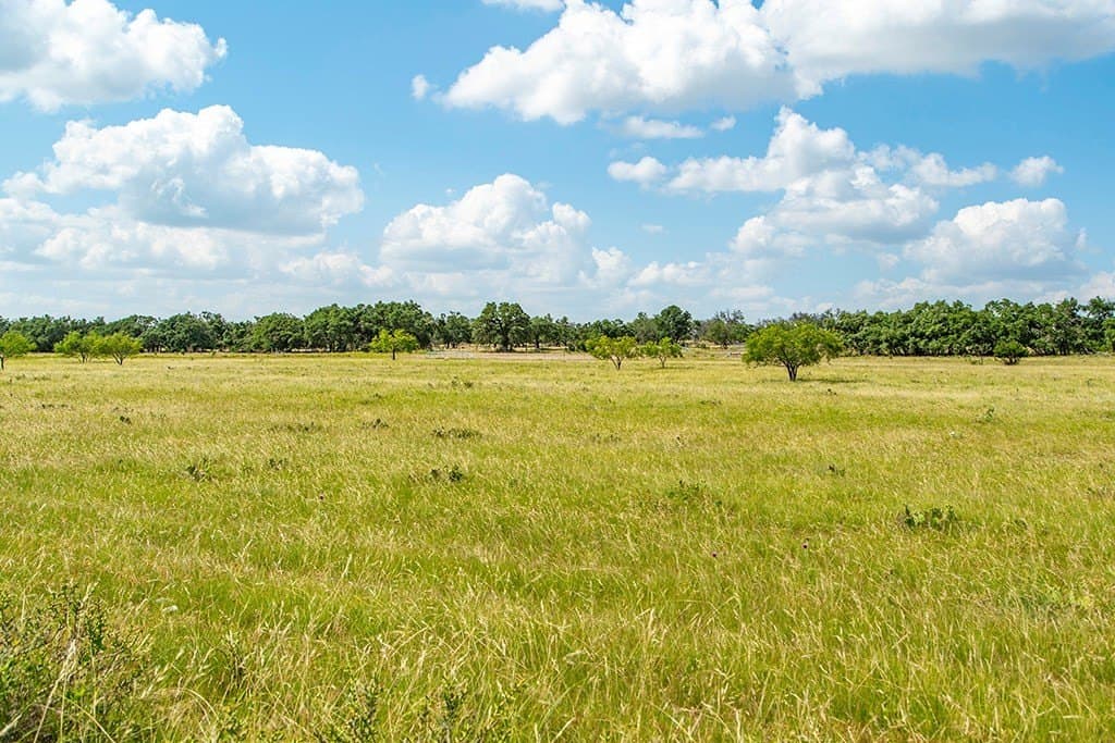 10.05 acres in Gillespie County gallery image 3