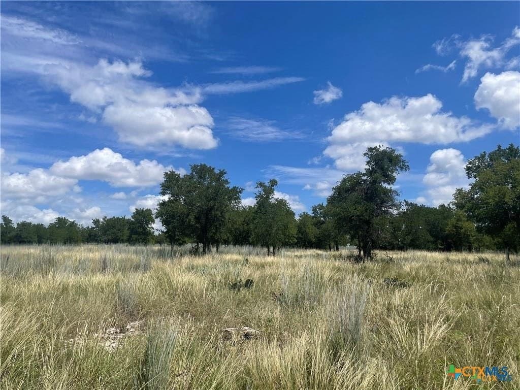 12.59 acres in Burnet County - photo 6
