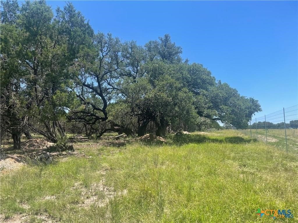 12.59 acres in Burnet County - photo 12