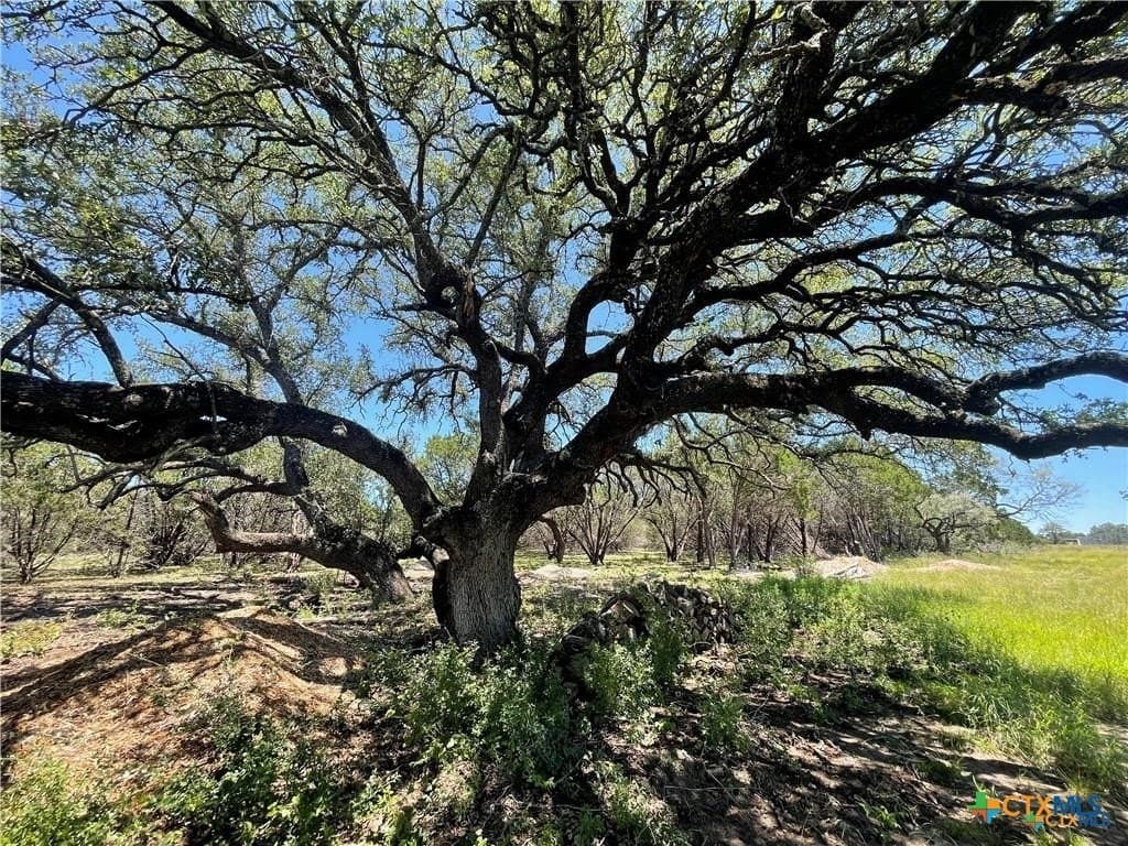 12.59 acres in Burnet County - photo 9