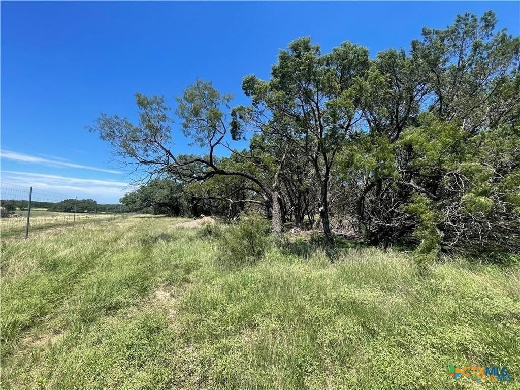 12.59 acres in Burnet County gallery image 2