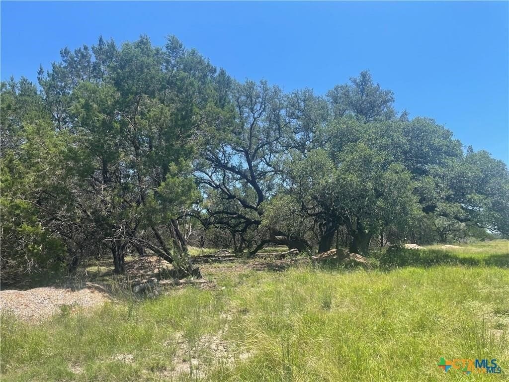 12.59 acres in Burnet County - photo 8