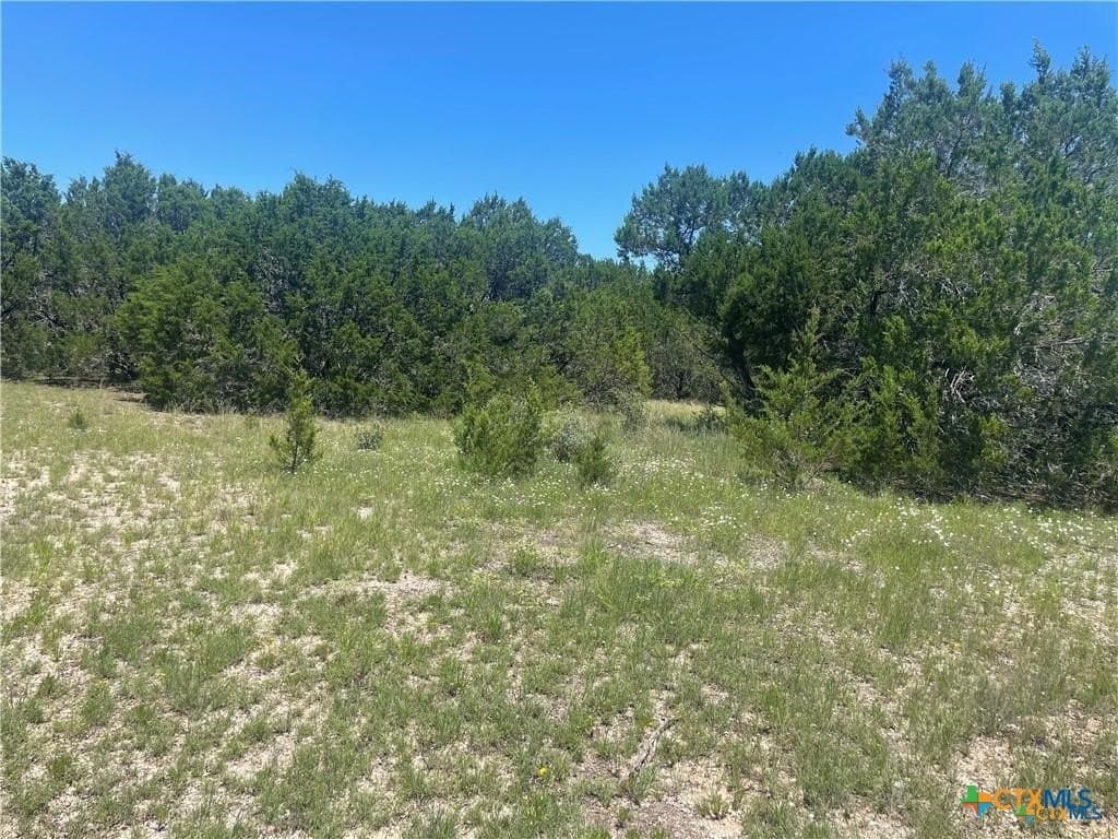 12.59 acres in Burnet County - photo 7