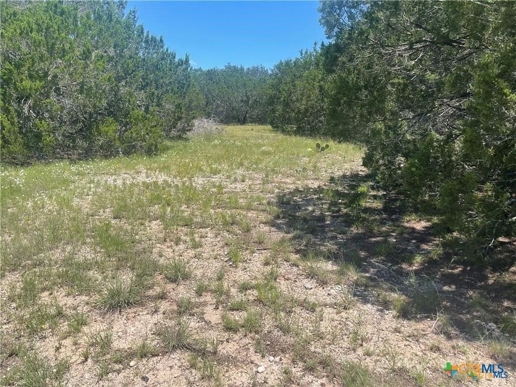 12.59 acres in Burnet County - photo 10