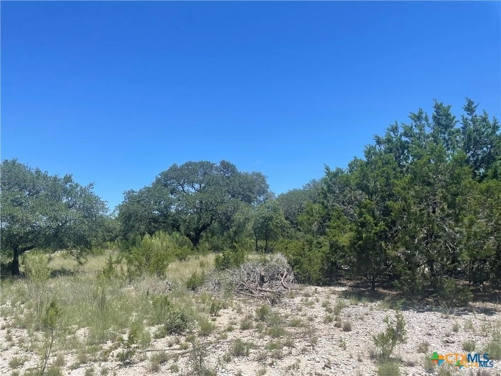 12.59 acres in Burnet County - photo 13
