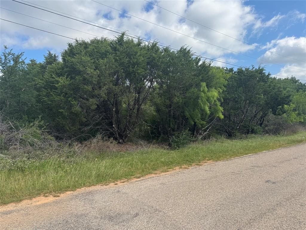0.08 acres in Hood County gallery image 2