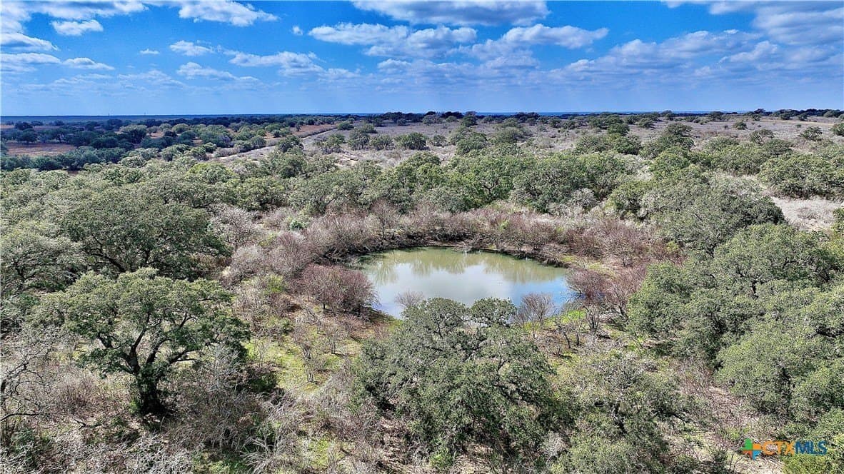 450 acres in Goliad County - photo 29