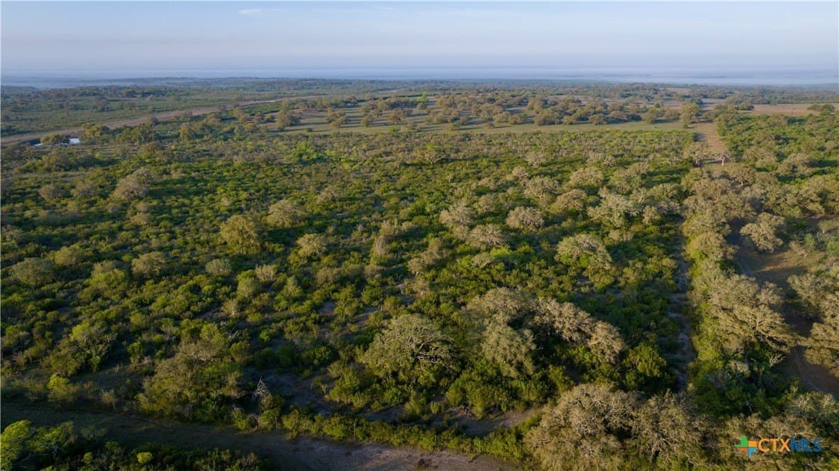 450 acres in Goliad County - photo 24