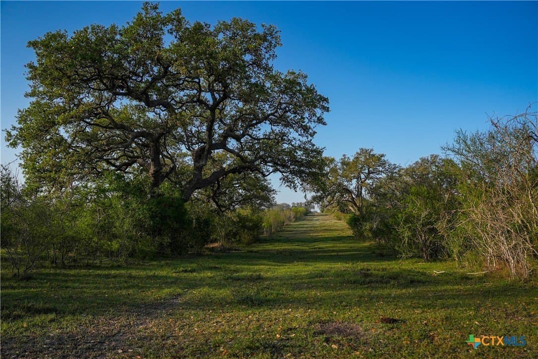 450 acres in Goliad County