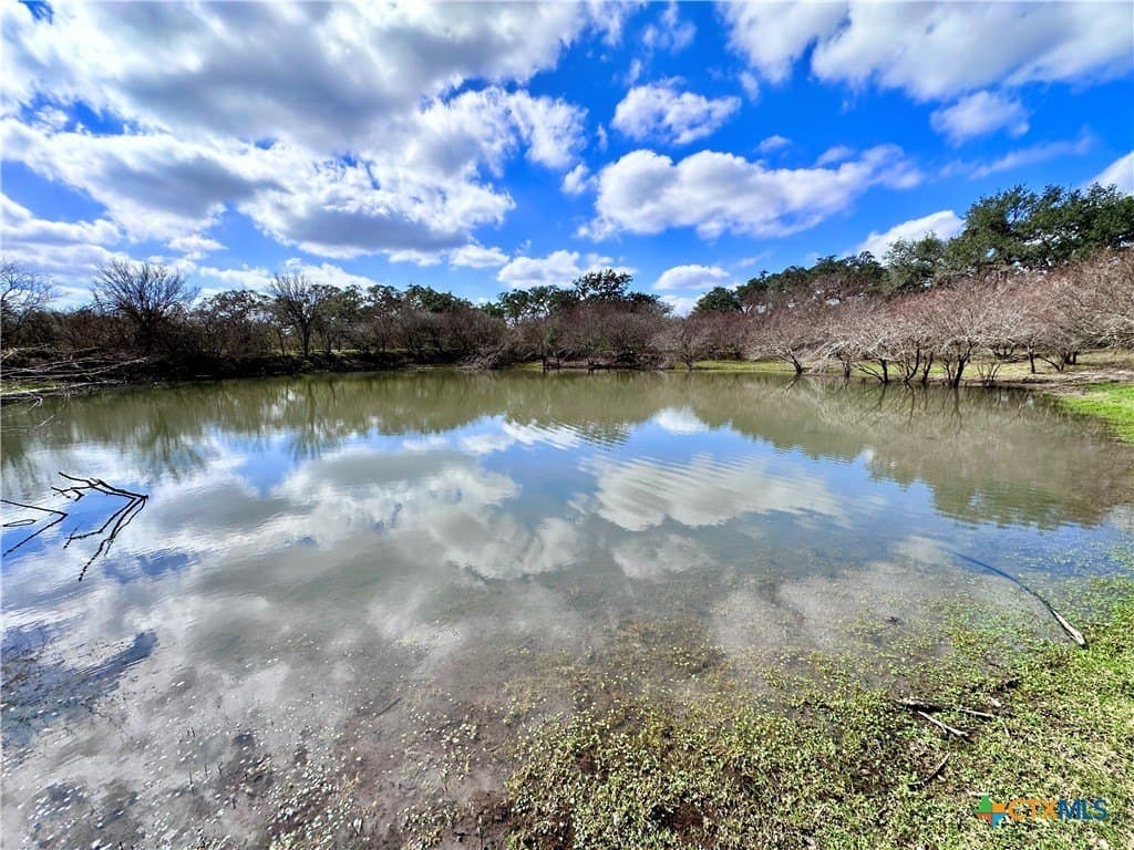 450 acres in Goliad County - photo 34