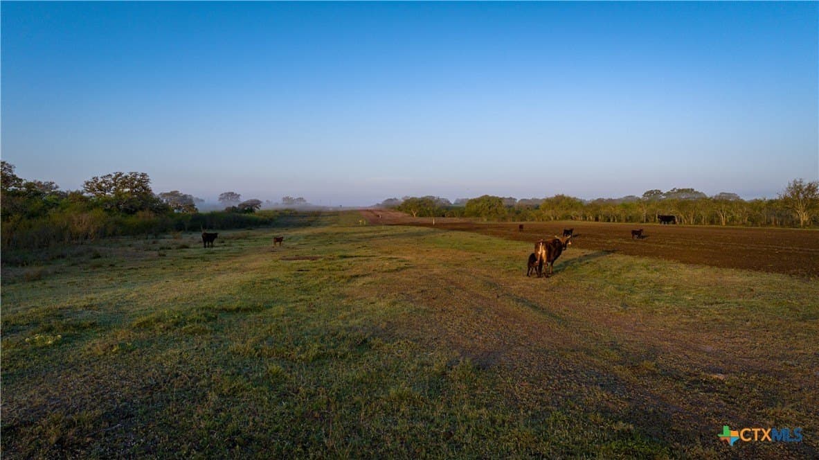 450 acres in Goliad County - photo 9