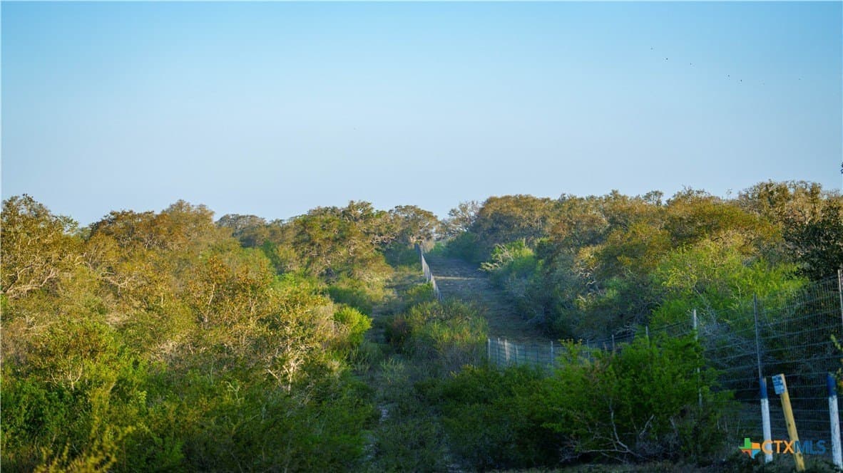 450 acres in Goliad County - photo 21
