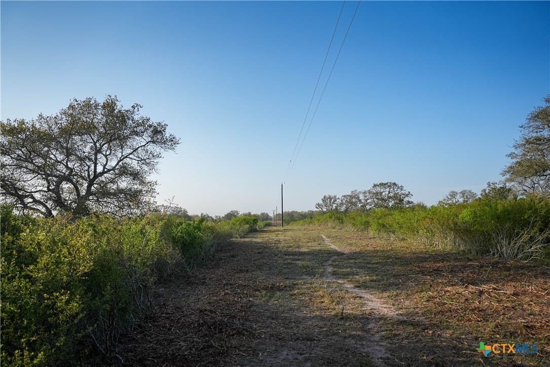 450 acres in Goliad County - photo 3