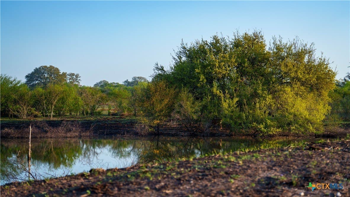 450 acres in Goliad County - photo 20