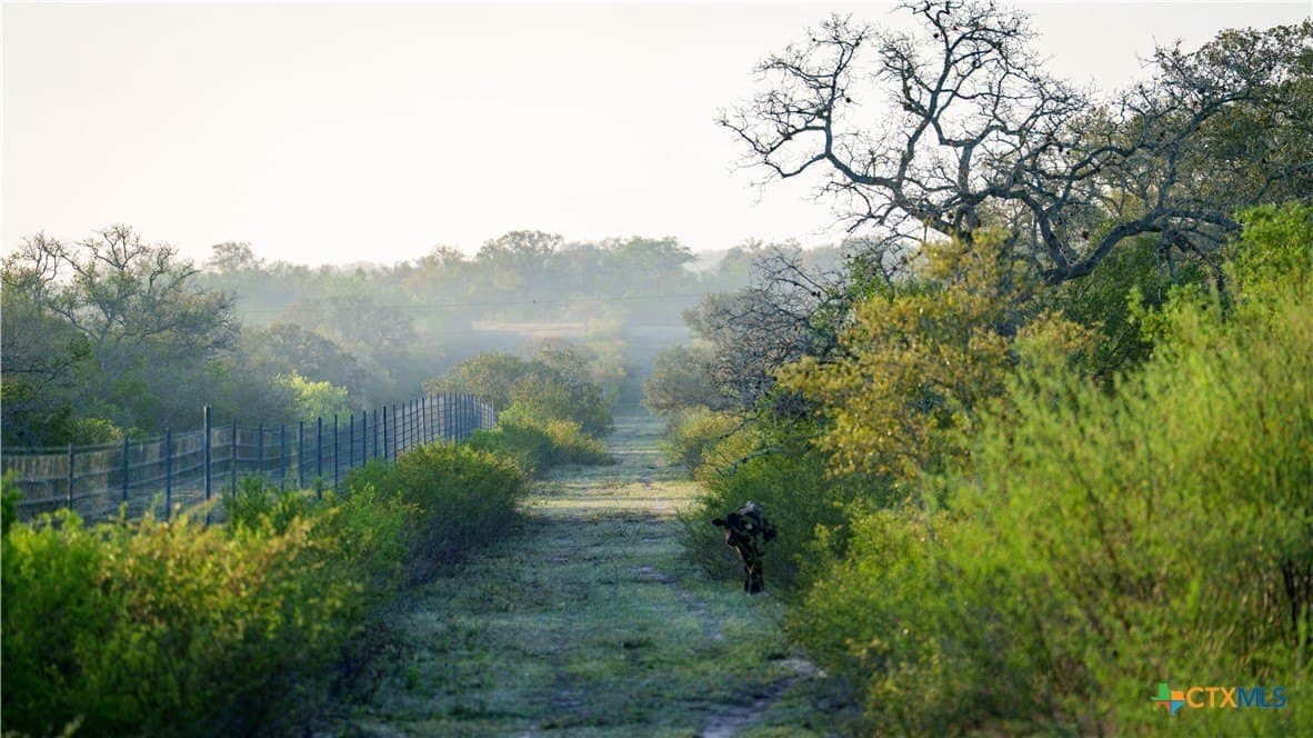 450 acres in Goliad County - photo 22