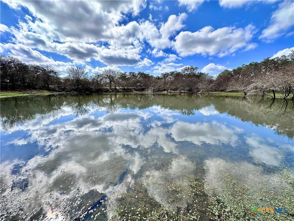 450 acres in Goliad County - photo 32