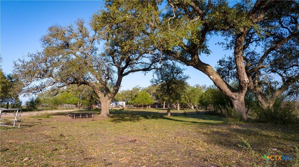 450 acres in Goliad County - photo 36
