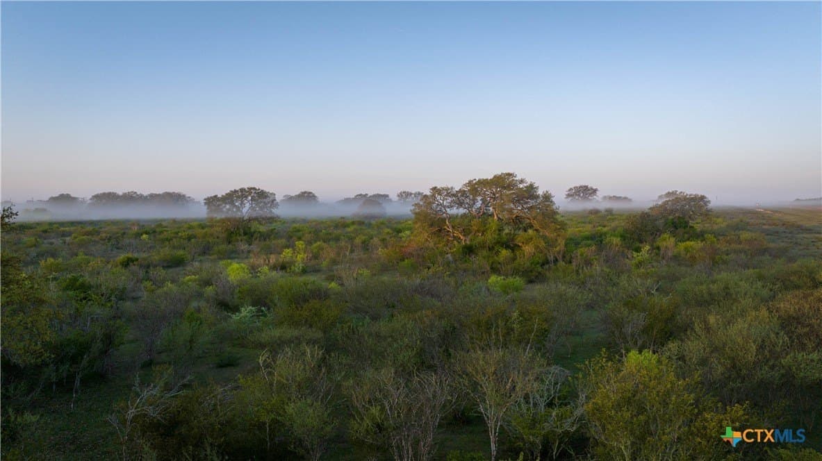 450 acres in Goliad County - photo 4