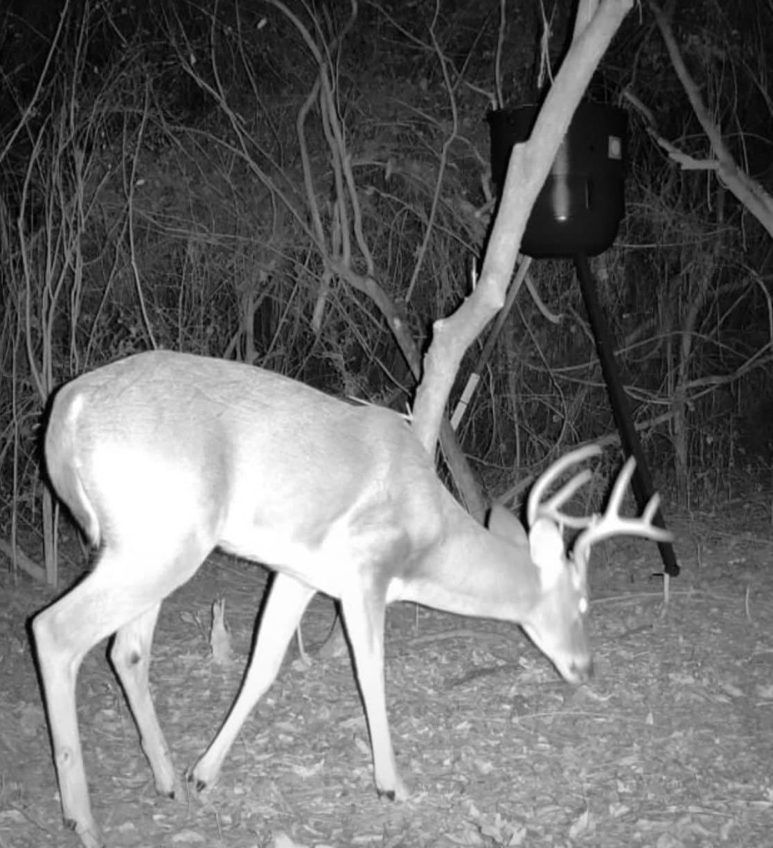 17.65 acres in Leon County - photo 5