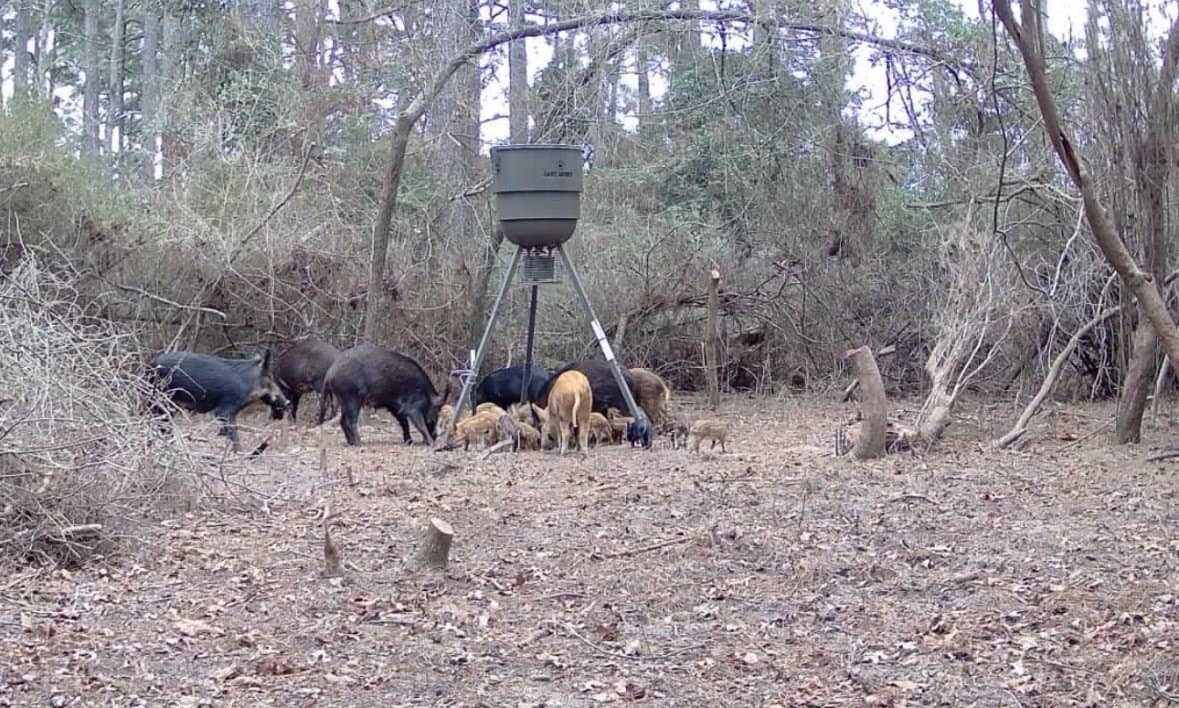 17.65 acres in Leon County - photo 3