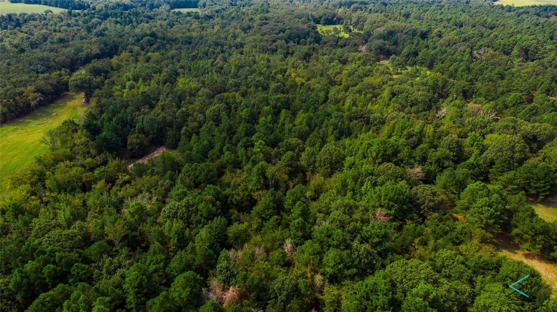 43.53 acres in Henderson County - photo 2