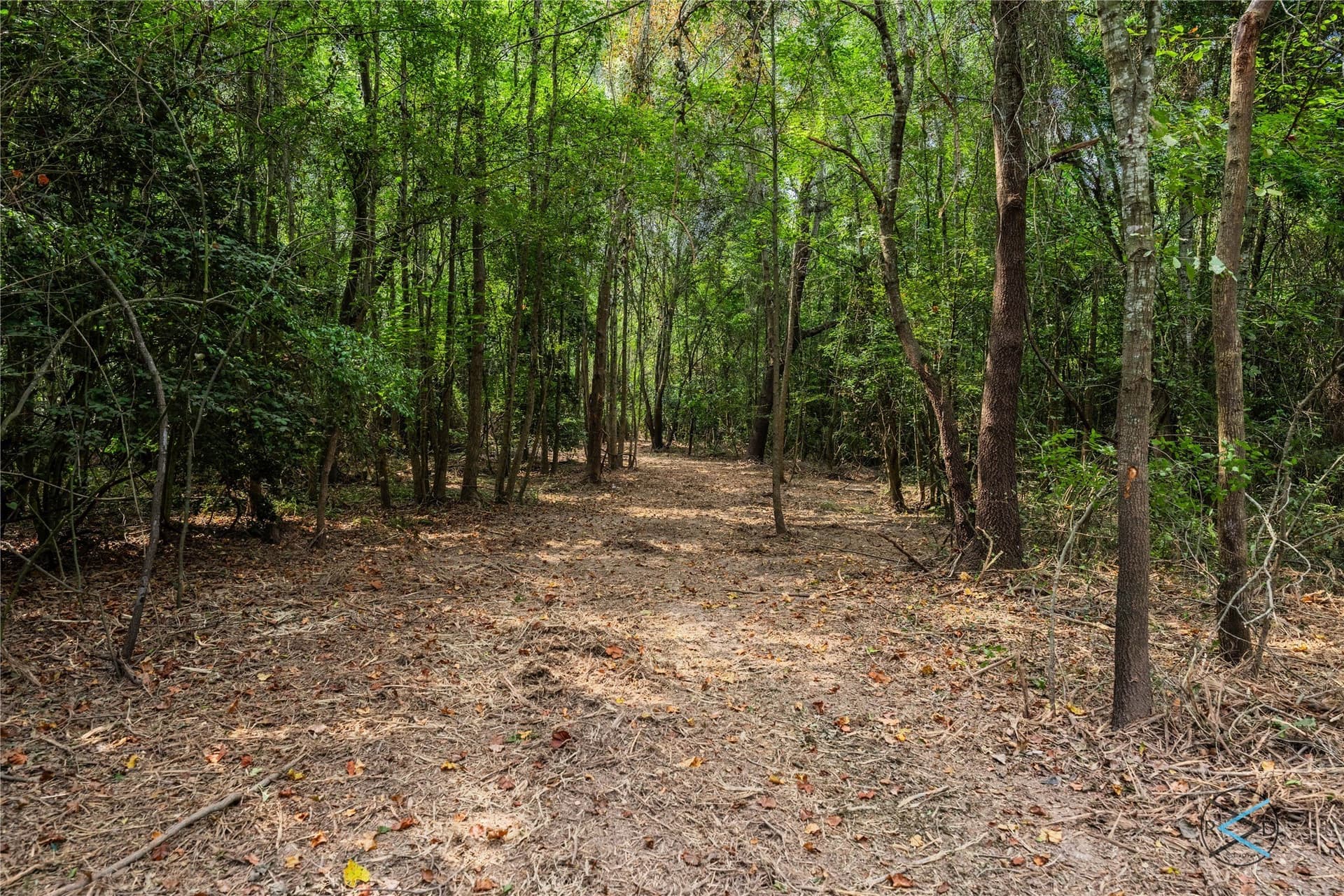 43.53 acres in Henderson County - photo 10