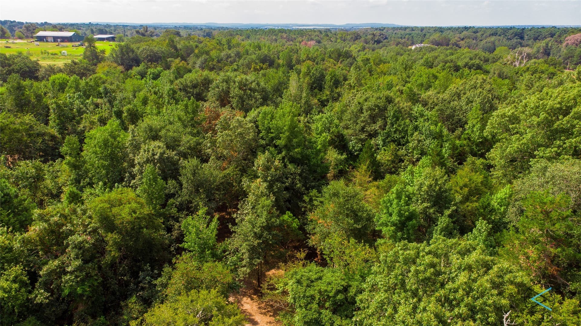 43.53 acres in Henderson County - photo 7