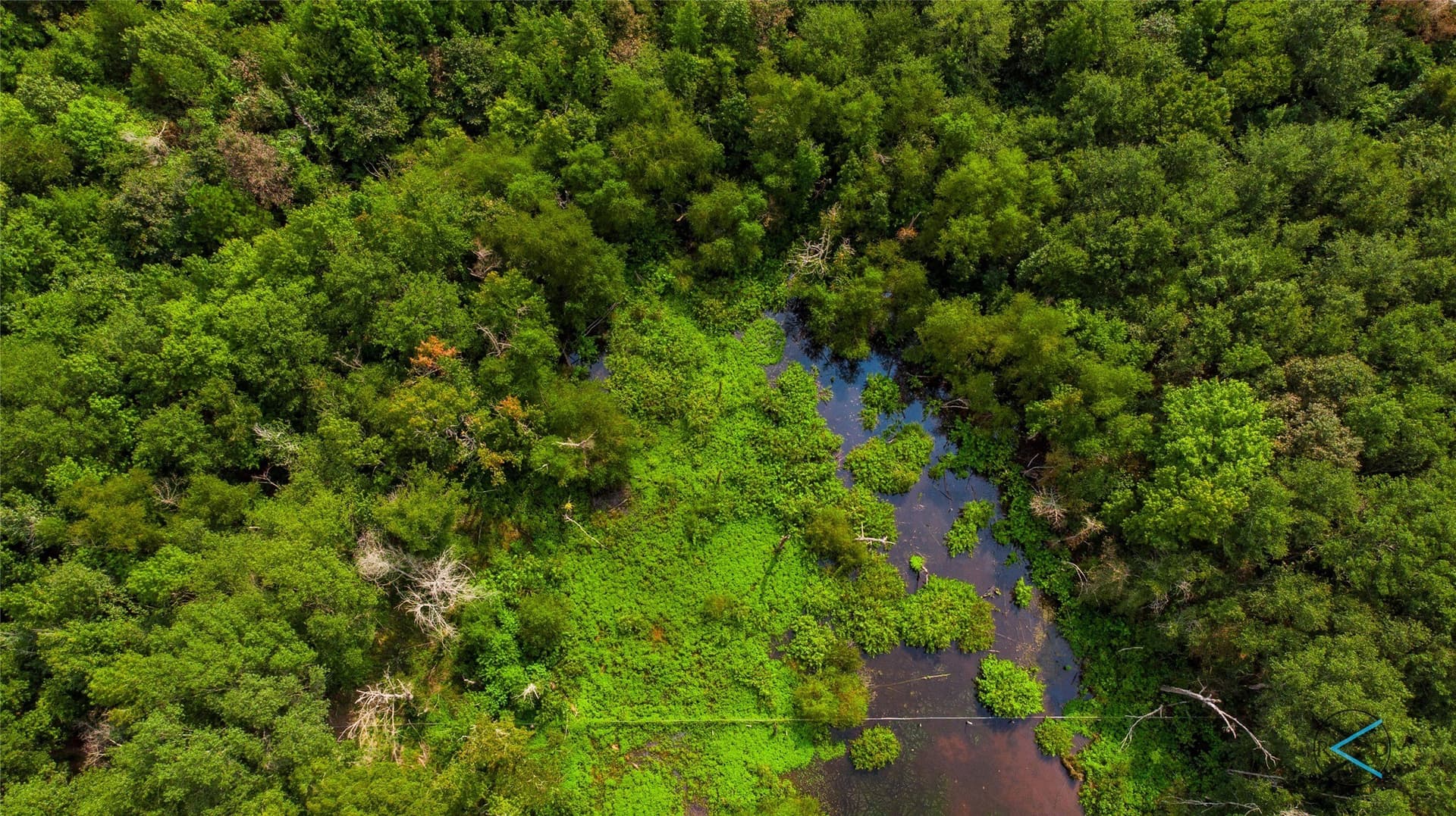 43.53 acres in Henderson County - photo 5