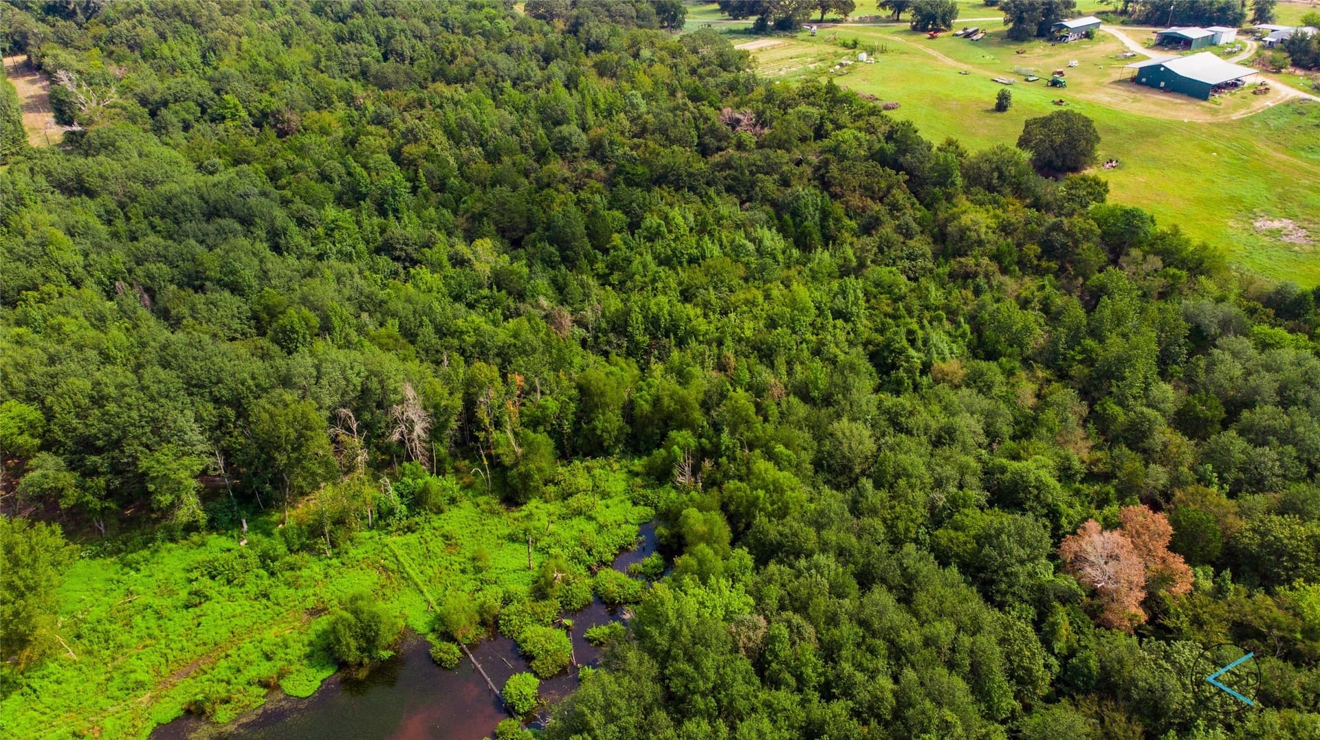 43.53 acres in Henderson County - photo 4