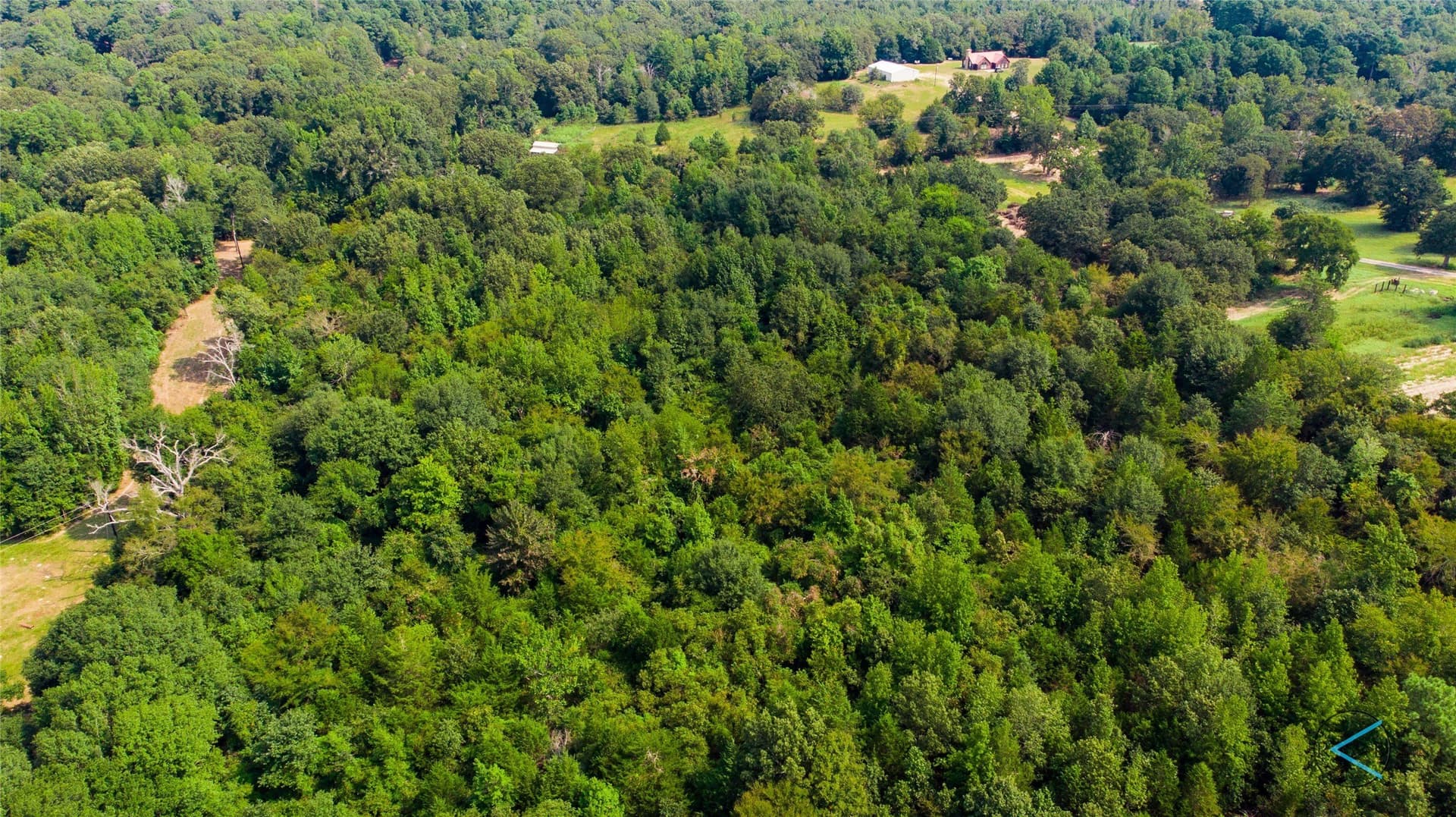 43.53 acres in Henderson County - photo 6