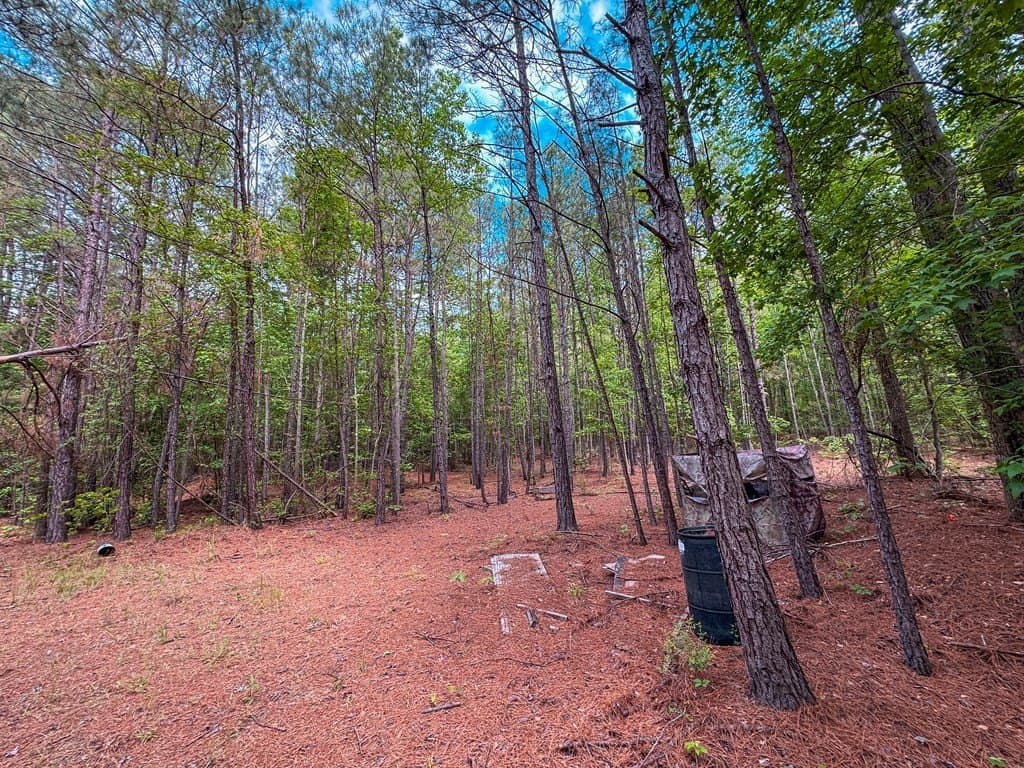 25 acres in ANDERSON County - photo 13