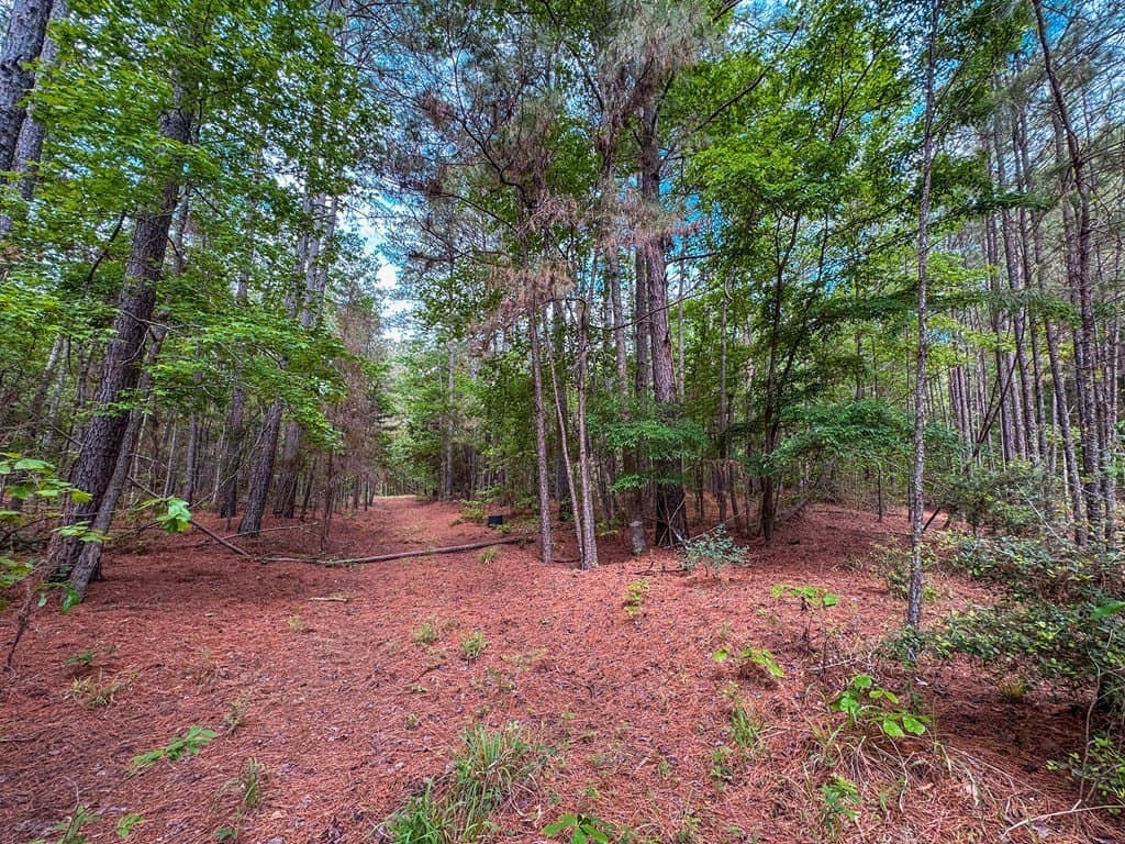 25 acres in ANDERSON County - photo 17