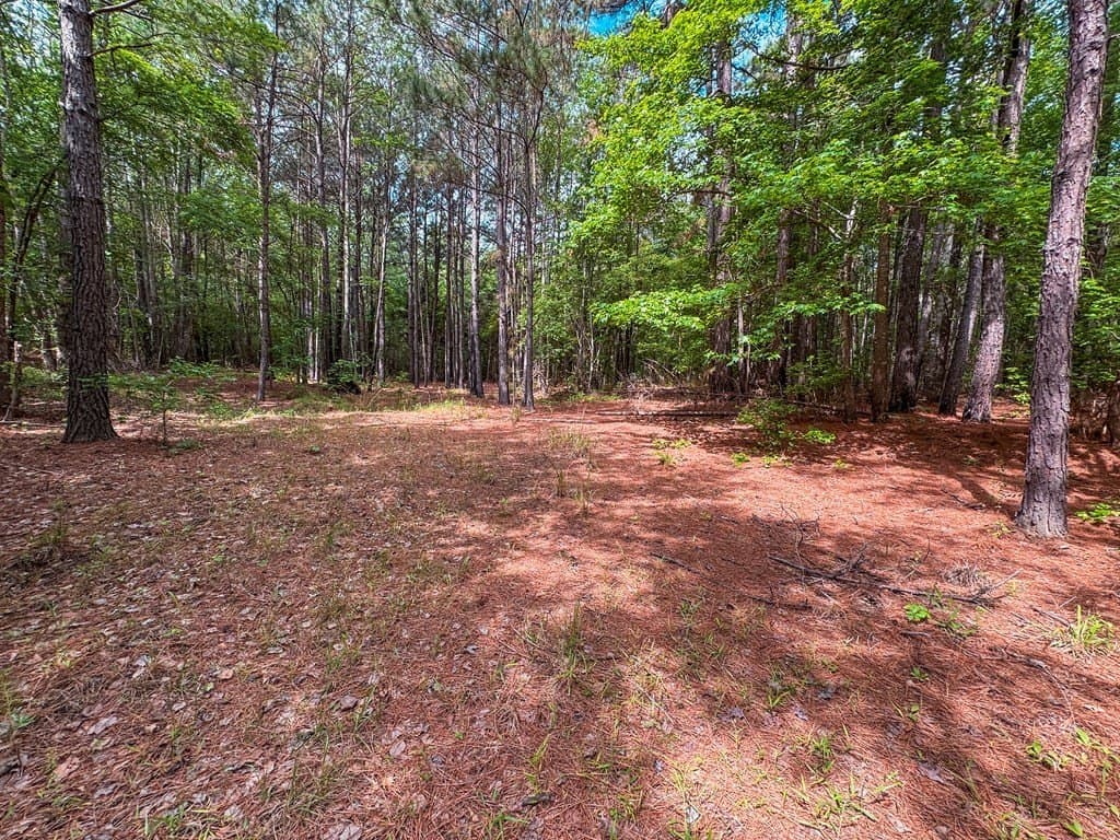 25 acres in ANDERSON County featured view