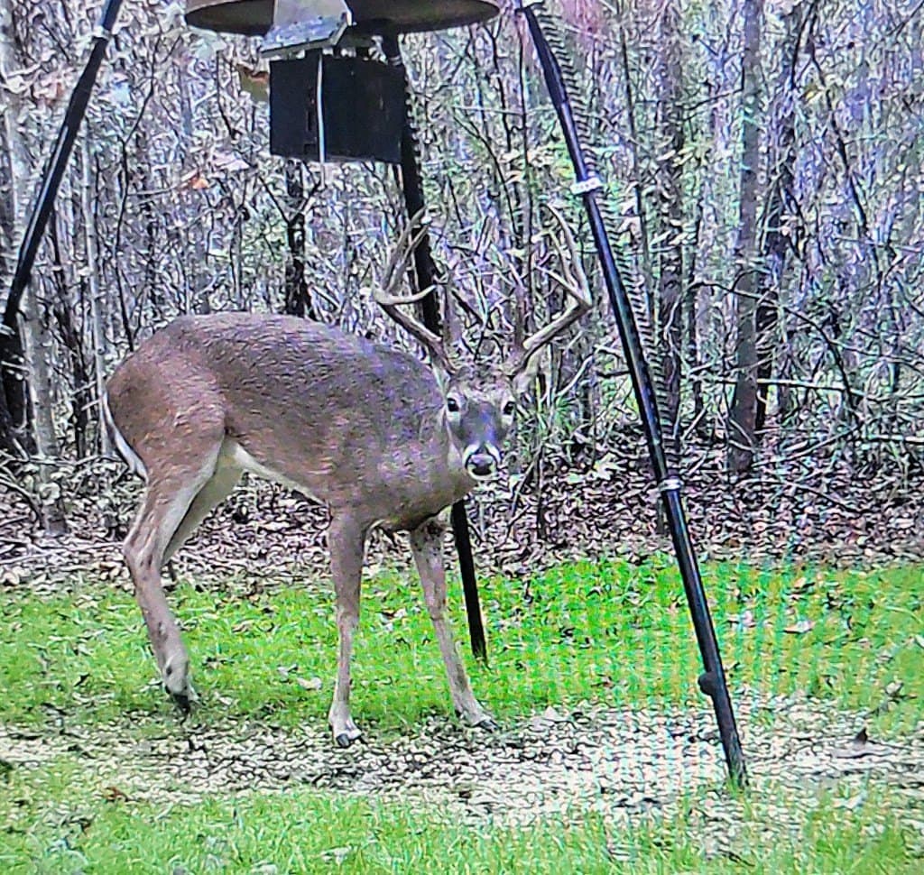 25 acres in ANDERSON County - photo 24