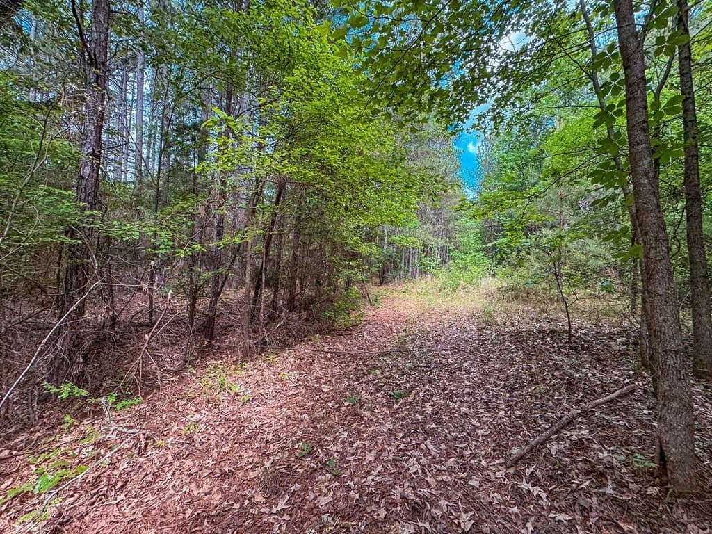 25 acres in ANDERSON County - photo 21
