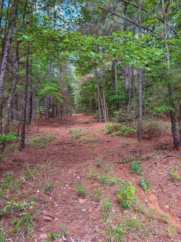 25 acres in ANDERSON County - photo 20