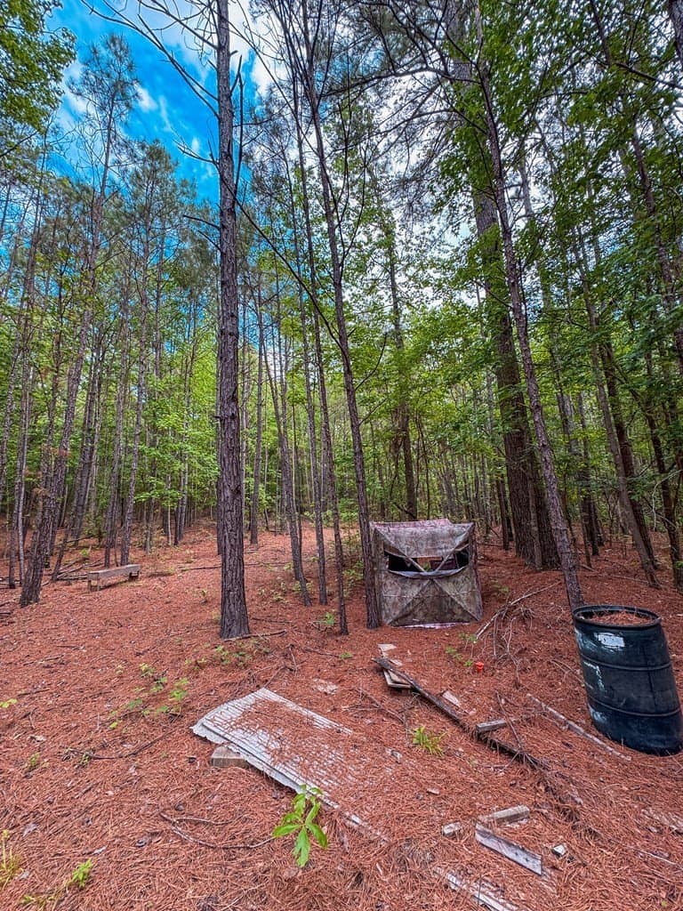 25 acres in ANDERSON County - photo 8