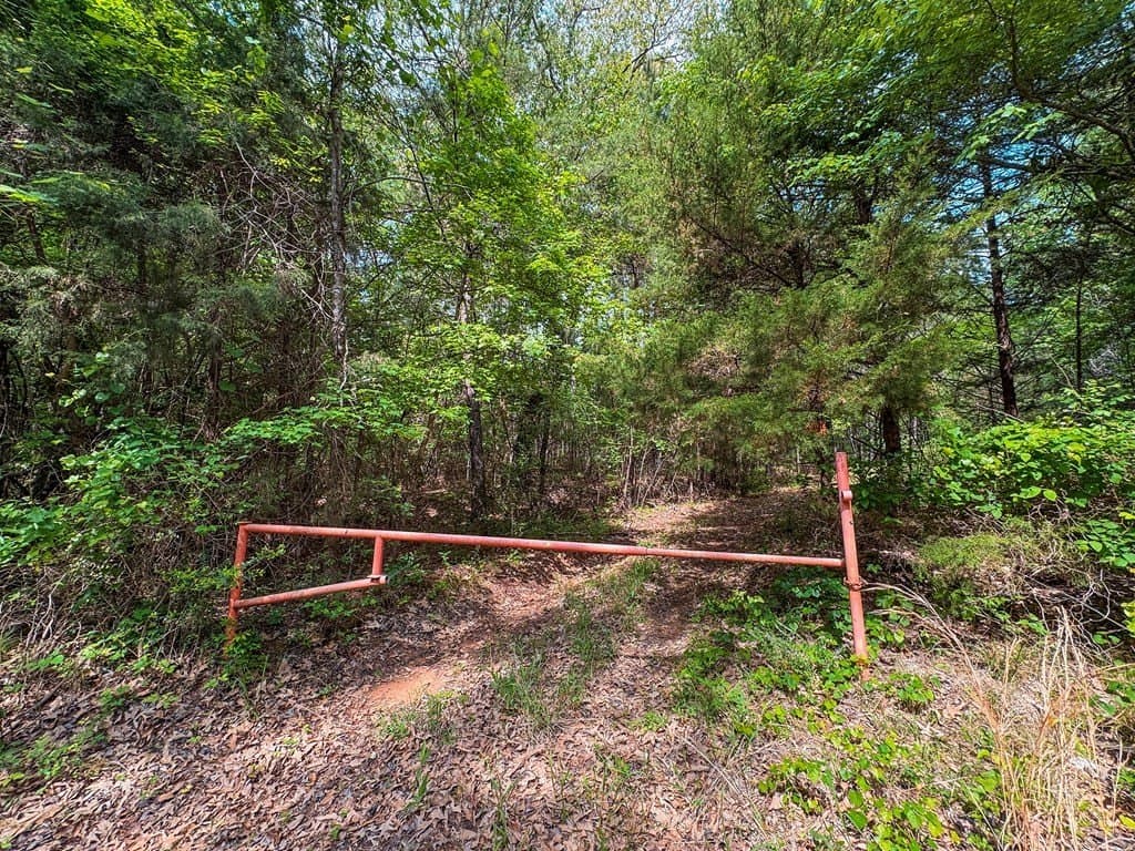 25 acres in ANDERSON County - photo 23