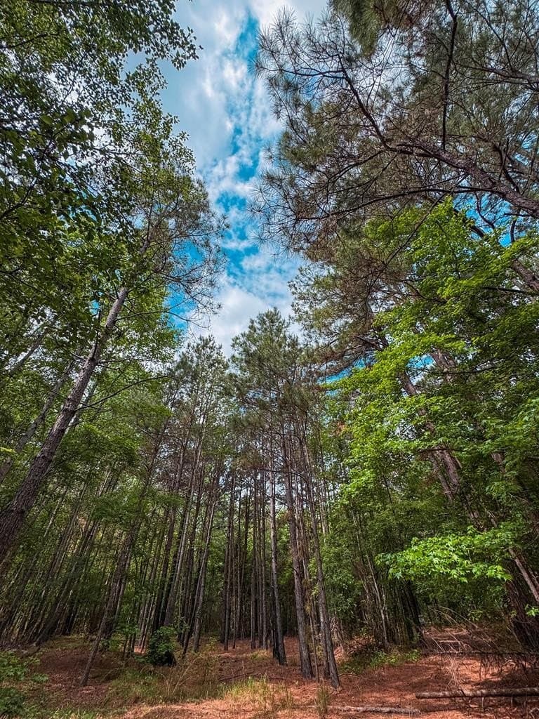 25 acres in ANDERSON County