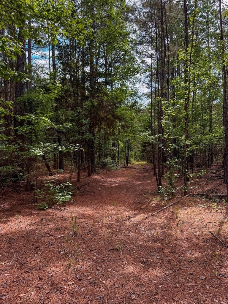 25 acres in ANDERSON County gallery image 2