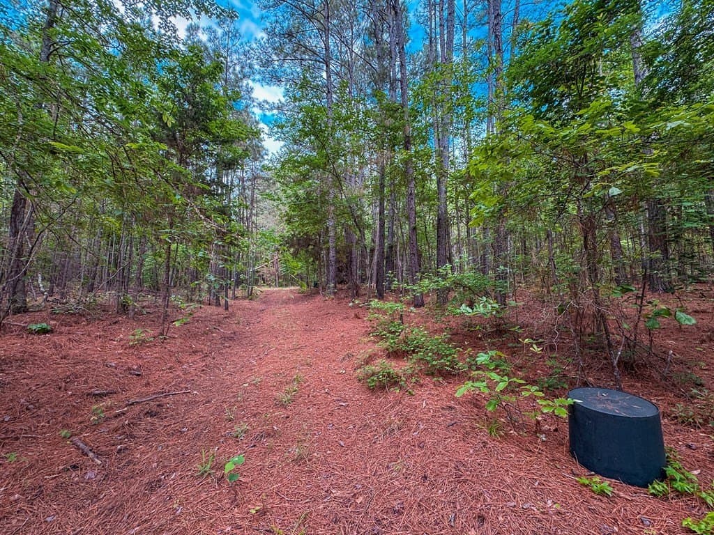 25 acres in ANDERSON County - photo 15