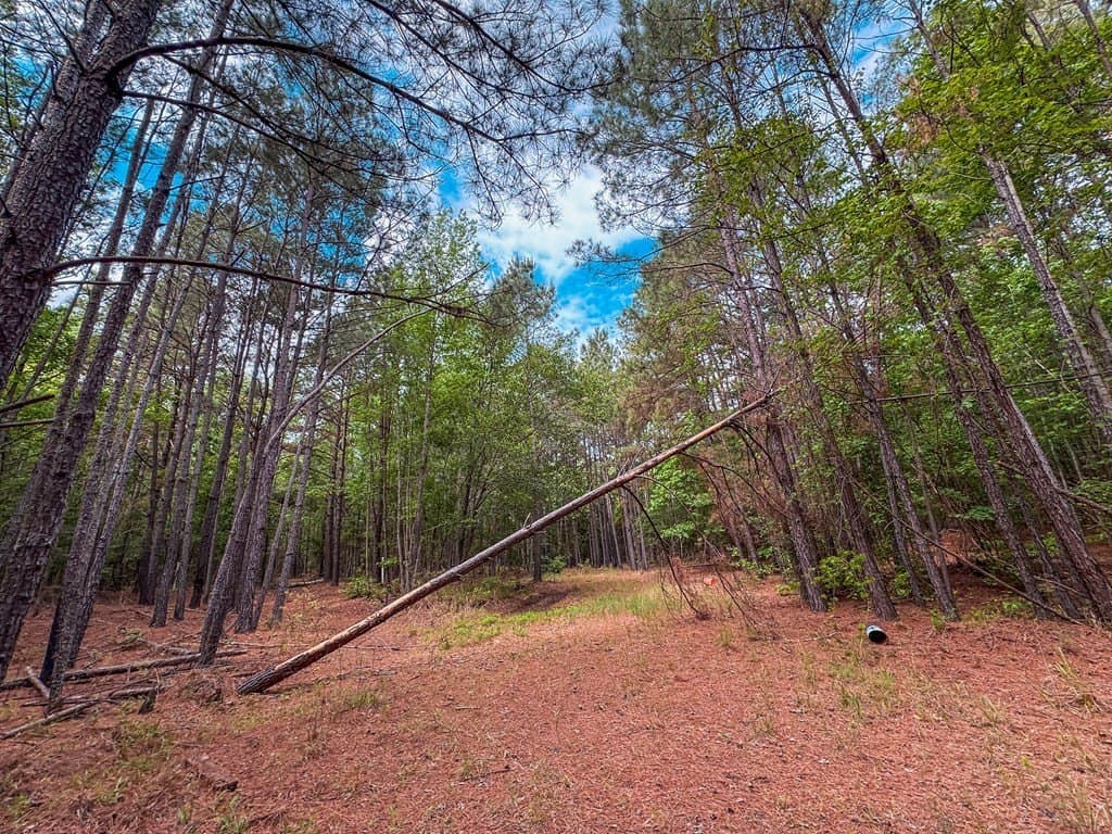 25 acres in ANDERSON County - photo 12