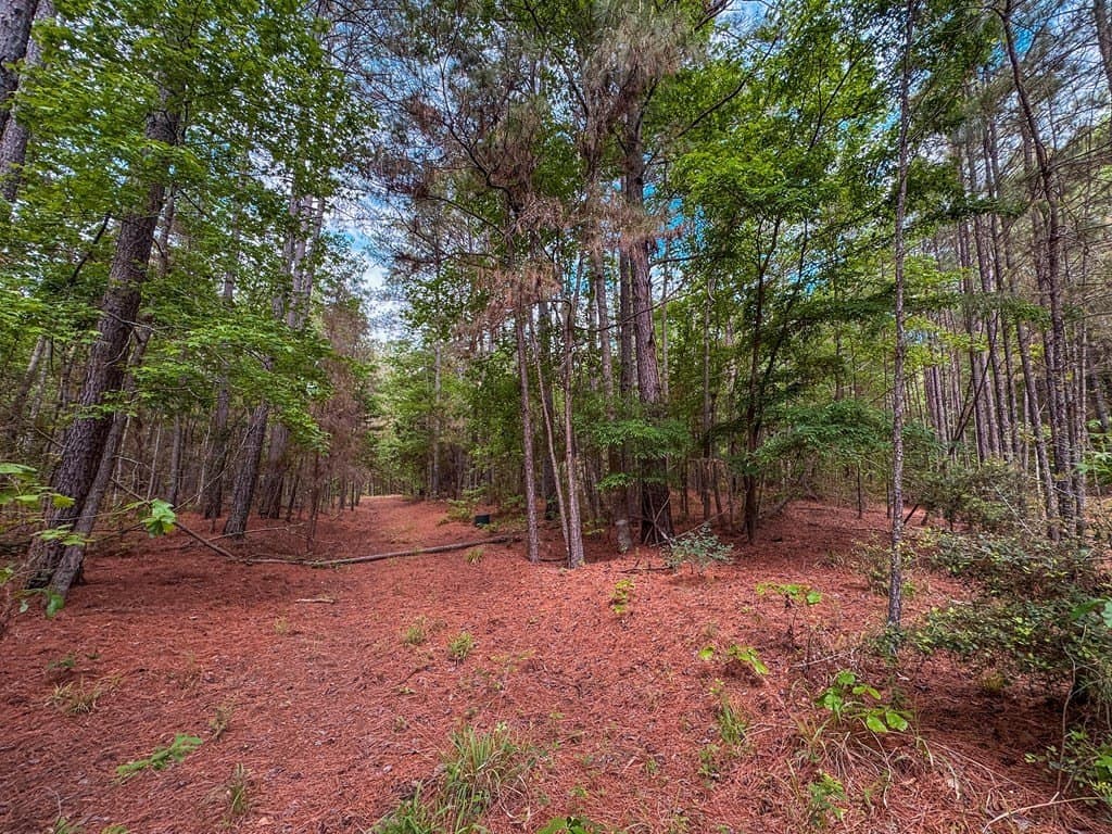 25 acres in ANDERSON County - photo 16