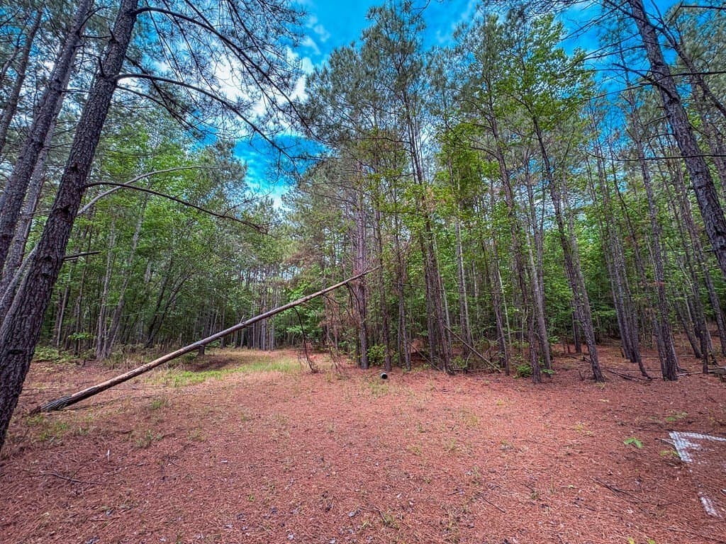 25 acres in ANDERSON County - photo 14