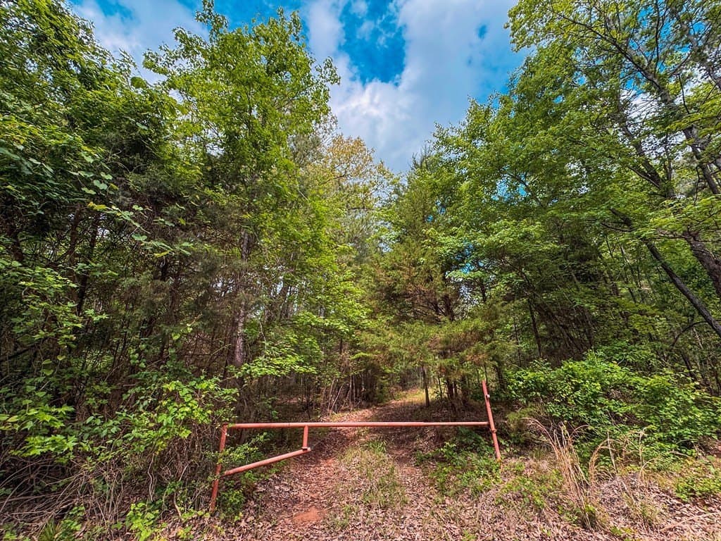 25 acres in ANDERSON County - photo 22