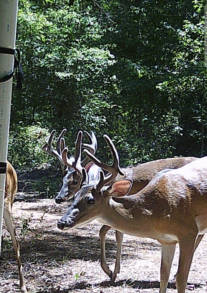 25 acres in ANDERSON County - photo 25