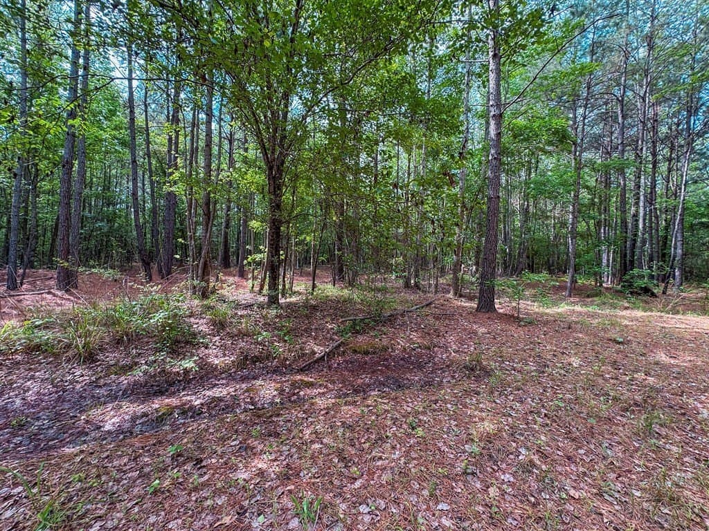 25 acres in ANDERSON County gallery image 4