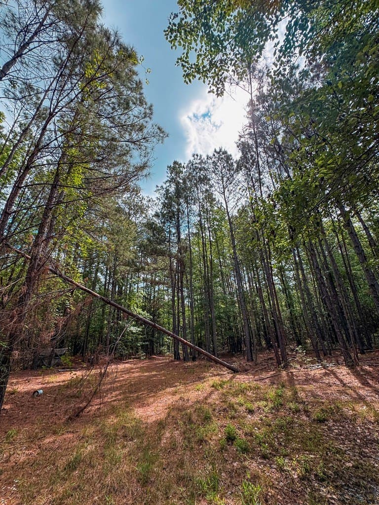 25 acres in ANDERSON County - photo 6