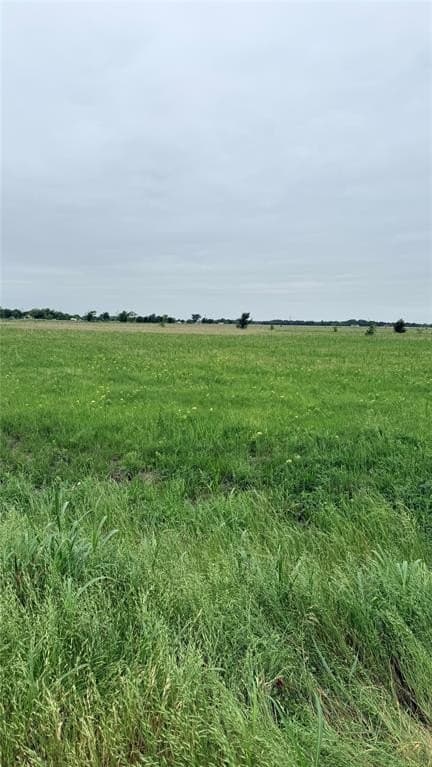 1.59 acres in Henderson County gallery image 2