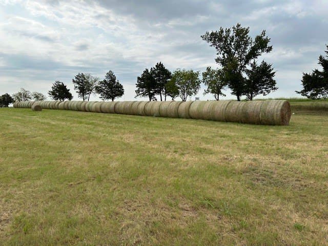 29.23 acres in Grayson County - photo 4